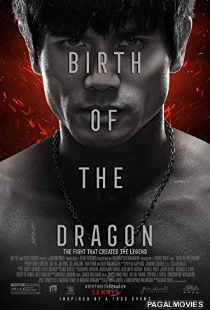 Birth of the Dragon (2016) Hollywood Hindi Dubbed Full Movie